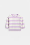 Essential Knit Sweater  Soft Lilac  hi-res