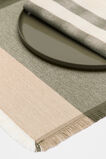 Devin Placemat Set of 4  Rainforest  hi-res