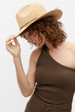 Raffia Fedora  Dark Praline  hi-res
