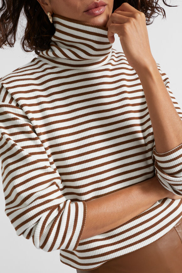 Rib Roll Neck Sweat  Spice Stripe  hi-res