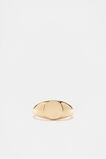 Signet Ring  Gold  hi-res