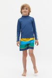 Stripe Boardshort  Multi  hi-res