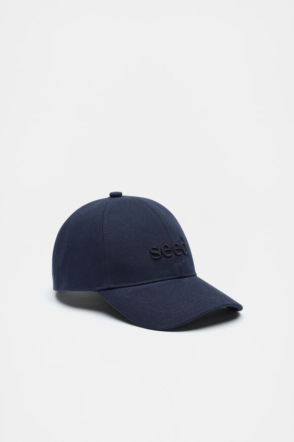 Seed Cap  Midnight Sky  hi-res
