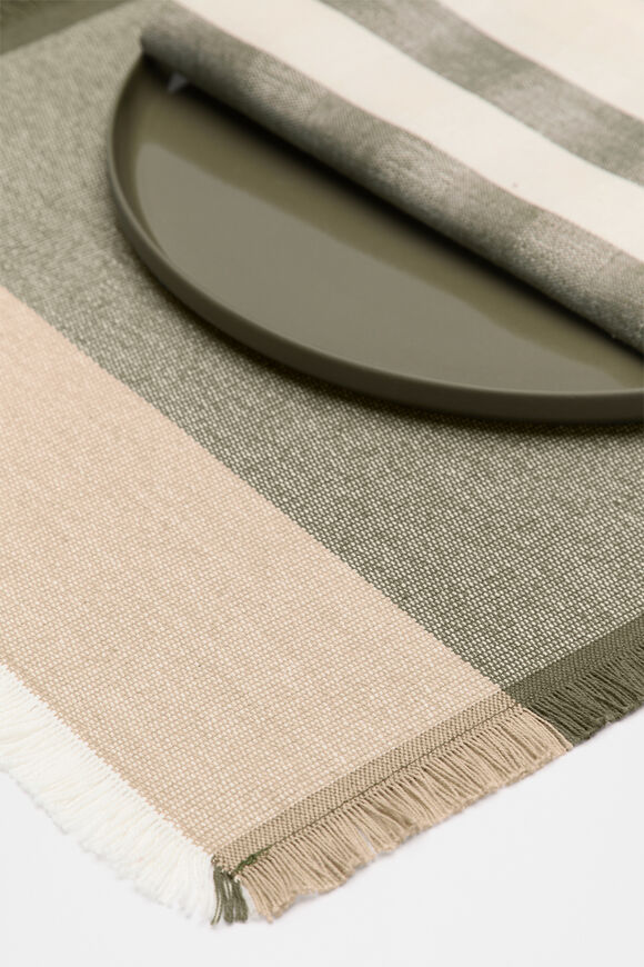 Devin Placemat Set of 4  Rainforest  hi-res