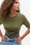 Merino Wool Crew Neck Tee  Rainforest  hi-res