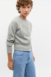 Merino Button Up Knit Cardigan  Silver Marle  hi-res