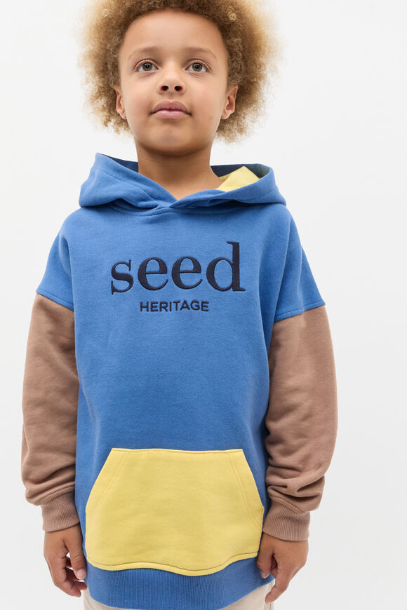 Colourblock Logo Hoodie  Multi  hi-res
