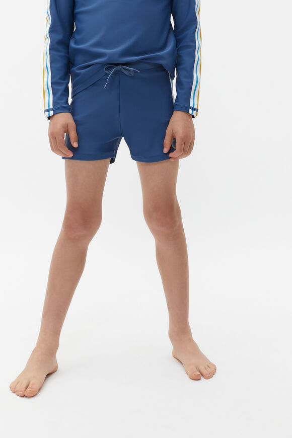Side Stripe Swim Short  Airforce Blue  hi-res