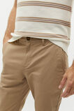 Tapered Chino  Biscotti  hi-res