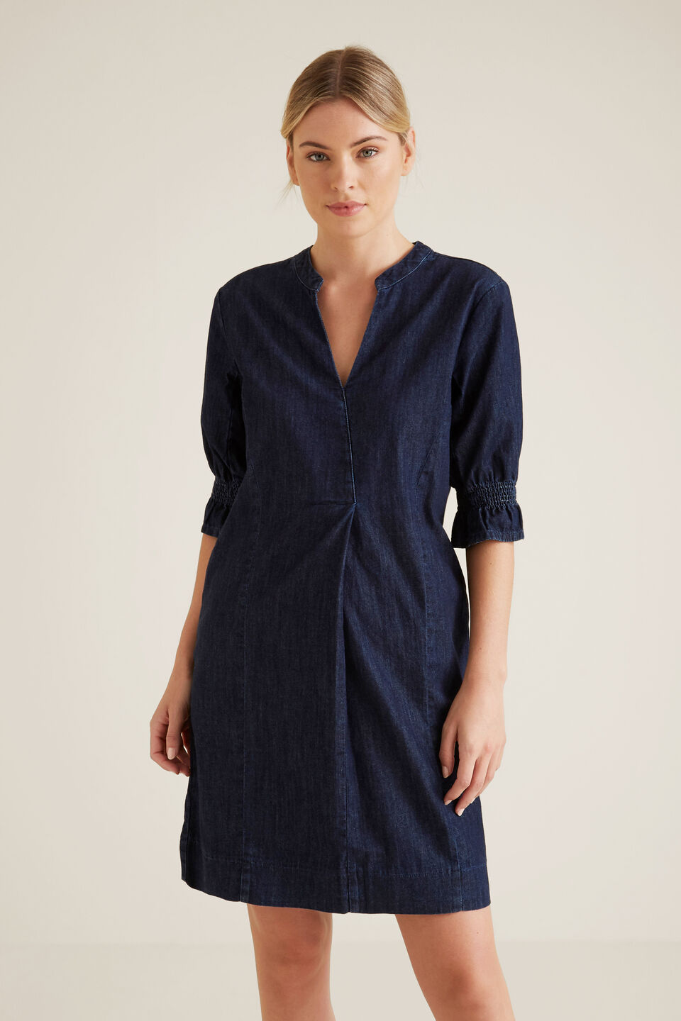 Chambray Dress  