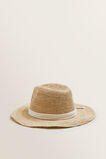 Classic Panama    hi-res