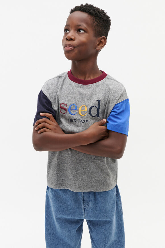 Colourblock Logo Tee  Storm Marle  hi-res