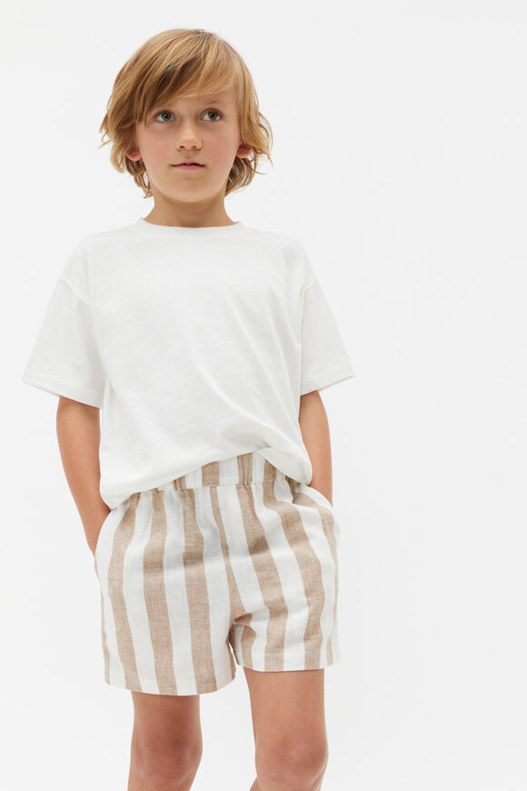 Stripe Short  Biscotti  hi-res