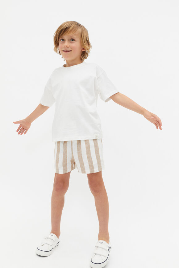 Stripe Short  Biscotti  hi-res