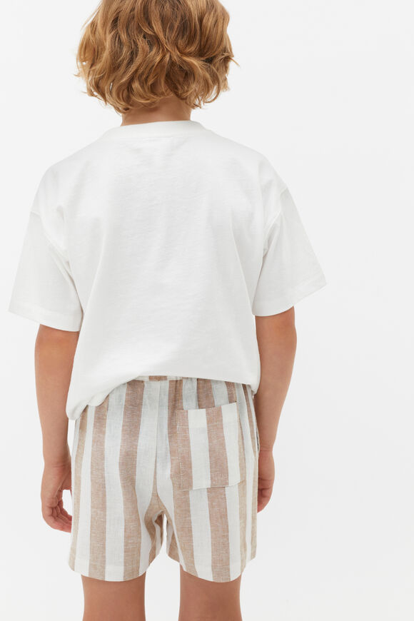 Stripe Short  Biscotti  hi-res
