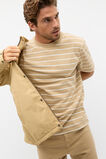 Crew Stripe Tee  Cashew Stripe  hi-res