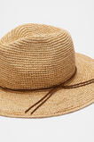 Raffia Fedora  Dark Praline  hi-res