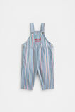 Stripe Logo Overall  Multi  hi-res