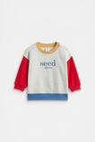 Colourblock Logo Sweat  Light Grey Marle  hi-res