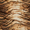 Tiger Print Scarf    hi-res