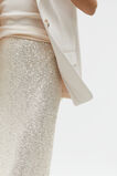 Sequin Mesh Skirt  Frappe  hi-res