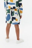 Shapes Short  Multi  hi-res