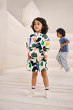 Shapes Short  Multi  hi-res