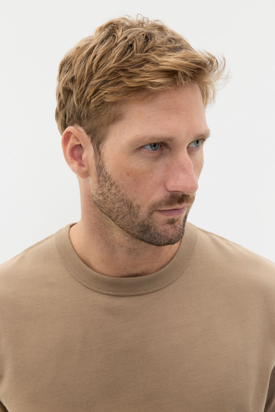 Crew Tee  Biscotti