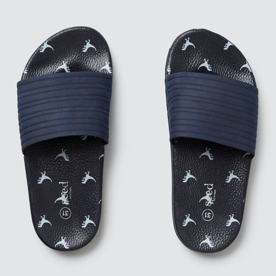 Print Slide  