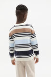 Stripe Crew Knit  Multi  hi-res