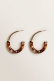 Semi Gold Earrings    hi-res