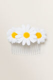 Daisy Comb  1  hi-res