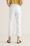 Distressed Jean  1  hi-res