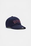 Chenille Seed Cap  Multi  hi-res
