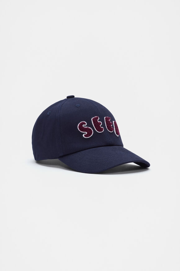 Chenille Seed Cap  Multi  hi-res