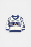 Sausage Dog Knit  Multi  hi-res