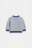 Sausage Dog Knit  Multi  hi-res