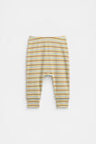 Logo Stripe Legging  Multi  hi-res