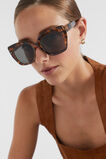Quinn D Frame Sunglasses  Spice Tort  hi-res