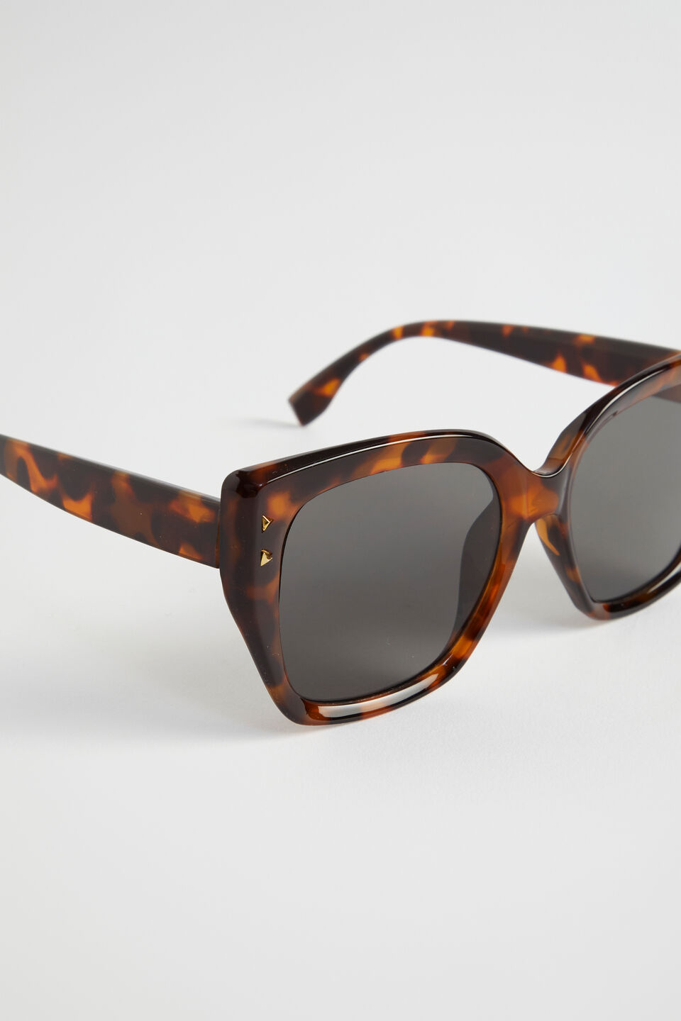 Quinn D Frame Sunglasses  Spice Tort