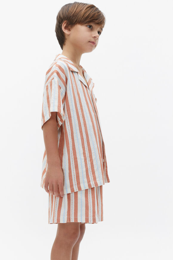 Dobby Stripe Short  Multi  hi-res