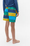 Stripe Boardshort  Multi  hi-res