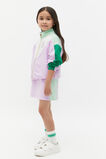 Colour Block Skirt  Multi  hi-res