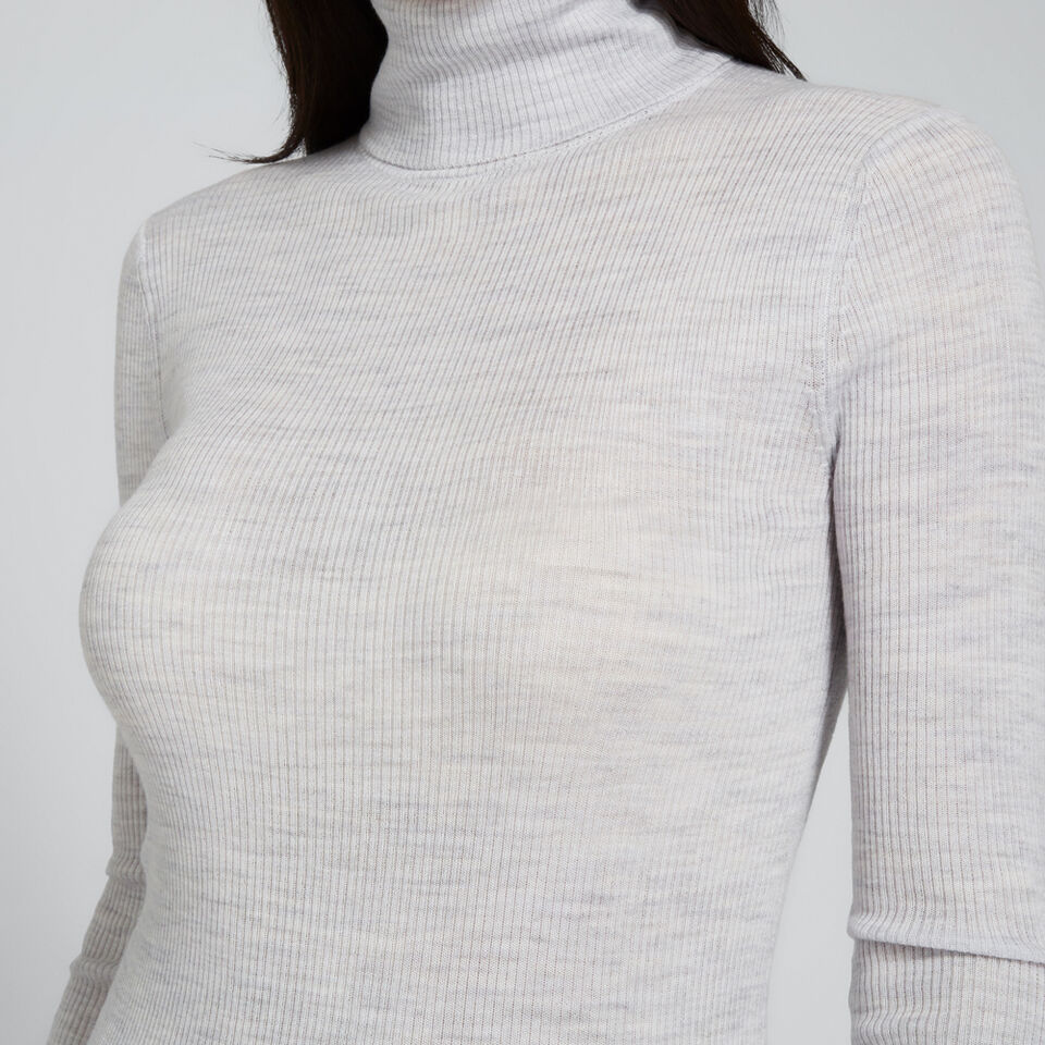 Fitted Rib Roll Neck  