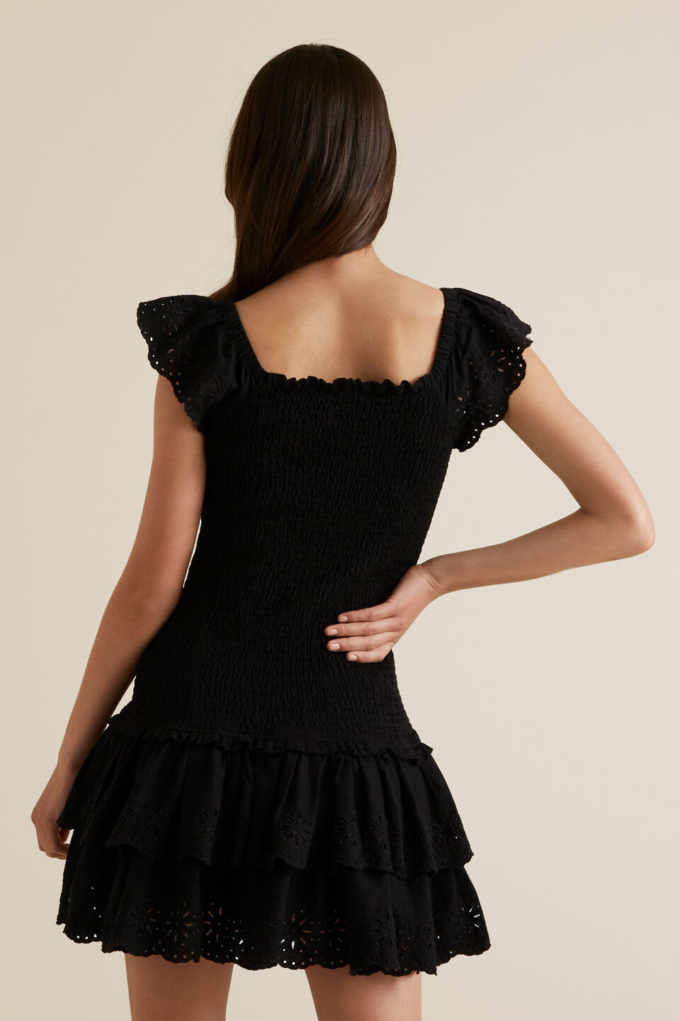 Embroidered Shirred Dress  