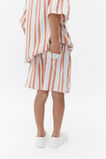 Dobby Stripe Short  Multi  hi-res