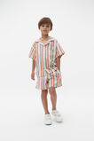Dobby Stripe Short  Multi  hi-res