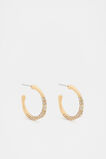 Pave Organic Hoops  Gold  hi-res