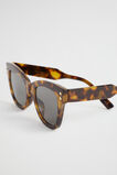 Phoebe Classic Sunglasses  Brown Tort  hi-res