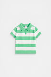 Knitted Stripe Polo  Pine Lime  hi-res
